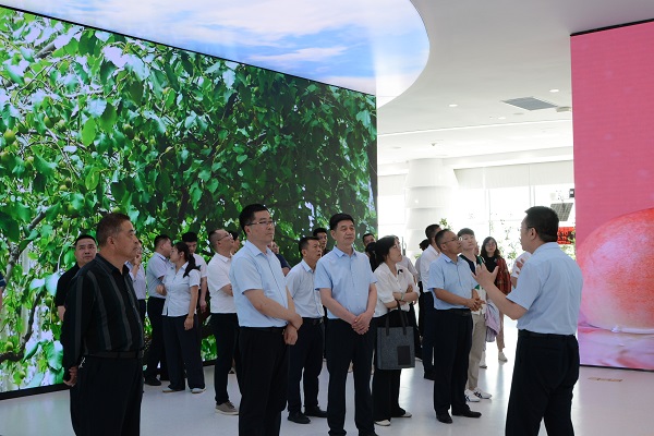 拉斯维加斯官网登录入口集团